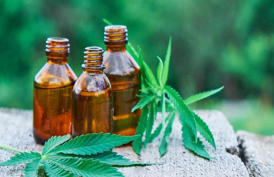 Do You Know How CBD Gets Metabolized in Our Body?