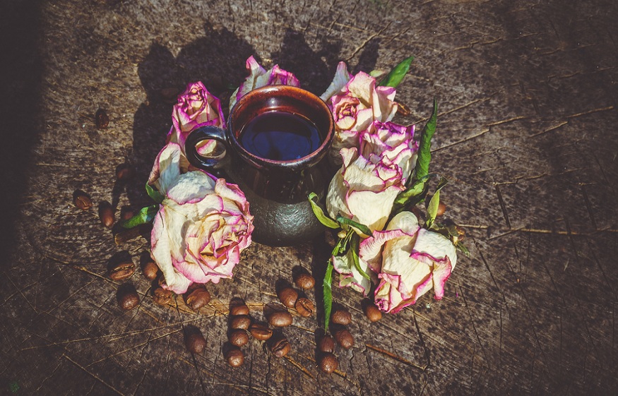 Are Cacao Ceremonies Safe?