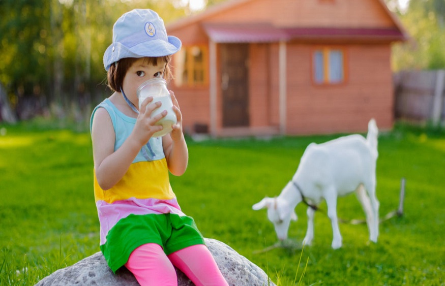 How Can A Goat Milk-Infused Diet Help Overcome Lactose Intolerance In Kids?