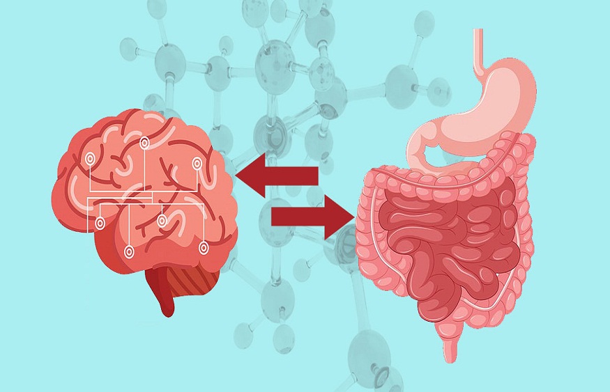 The Gut-Inflammation Connection: How to Improve Health from the Inside Out